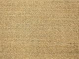 HEVO® Sisal Naturfaser Kollektion - Salsa Sisal Teppichboden Muster in 6 Farben - Inkl. 2% Bestellgutschein - Beig