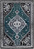 ZYFA Retro Hamadan Serie Traditioneller orientalischer Wohnzimmer-, Esszimmer- und Schlafzimmerbereich Teppich 5'3' x 7'6' Schw