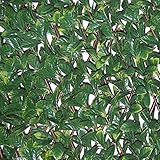 Tenax Hecke PU auf Ausziehbares Rankgitter Divy grün 200 x 4 x 100 cm 1 a150277