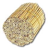 Hiss Reet® Schilfrohrhalme FEIN als Insektenhotel Füllmaterial I Ideal auch als Niströhren für Wildbienen, Bienenhotel geeignet I Verschiedene Längen (M - ca. 16 cm Länge)