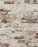 Vliestapete Beton Ziegelstein Bruchstein Mauer creme weiß rot braun terra WL3302 W