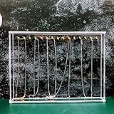 xxy Schmuckständer Plexiglas Halsketten-Anzeigen-Organisator hängender Kettenausstellungsstand-Halter Staubdichtes Schmuck Display Box Schmuckablage für Damen (Color : Transparent)