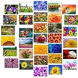 32 Grußkarten bunte Blumen Klappkarten mit 32 Umschlägen Blumen & Garten…