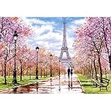 Castorland C-104369-2 Romantic Walk in Paris 1000 Teile Puzzle, B