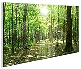 islandburner Bild Bilder auf Leinwand Sonnenstrahlen im Wald Bäume Spaziergang 1p XXL Poster Leinwandbild Wandbild Dekoartikel Wohnzimmer Marke islandb