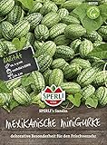 Sperli Gemüsesamen Gurken Mexikanische Minigurke 'Sandia', grü