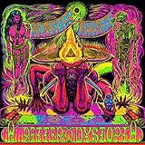 A Better Dystopia (2LP) [Vinyl LP]